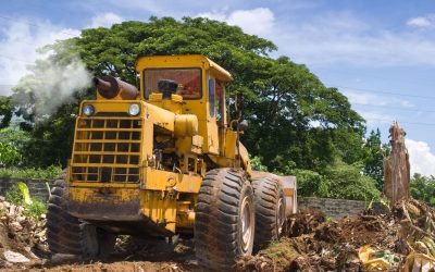 Improve Property Value Using Professional Land Clearing Services In Waco TX